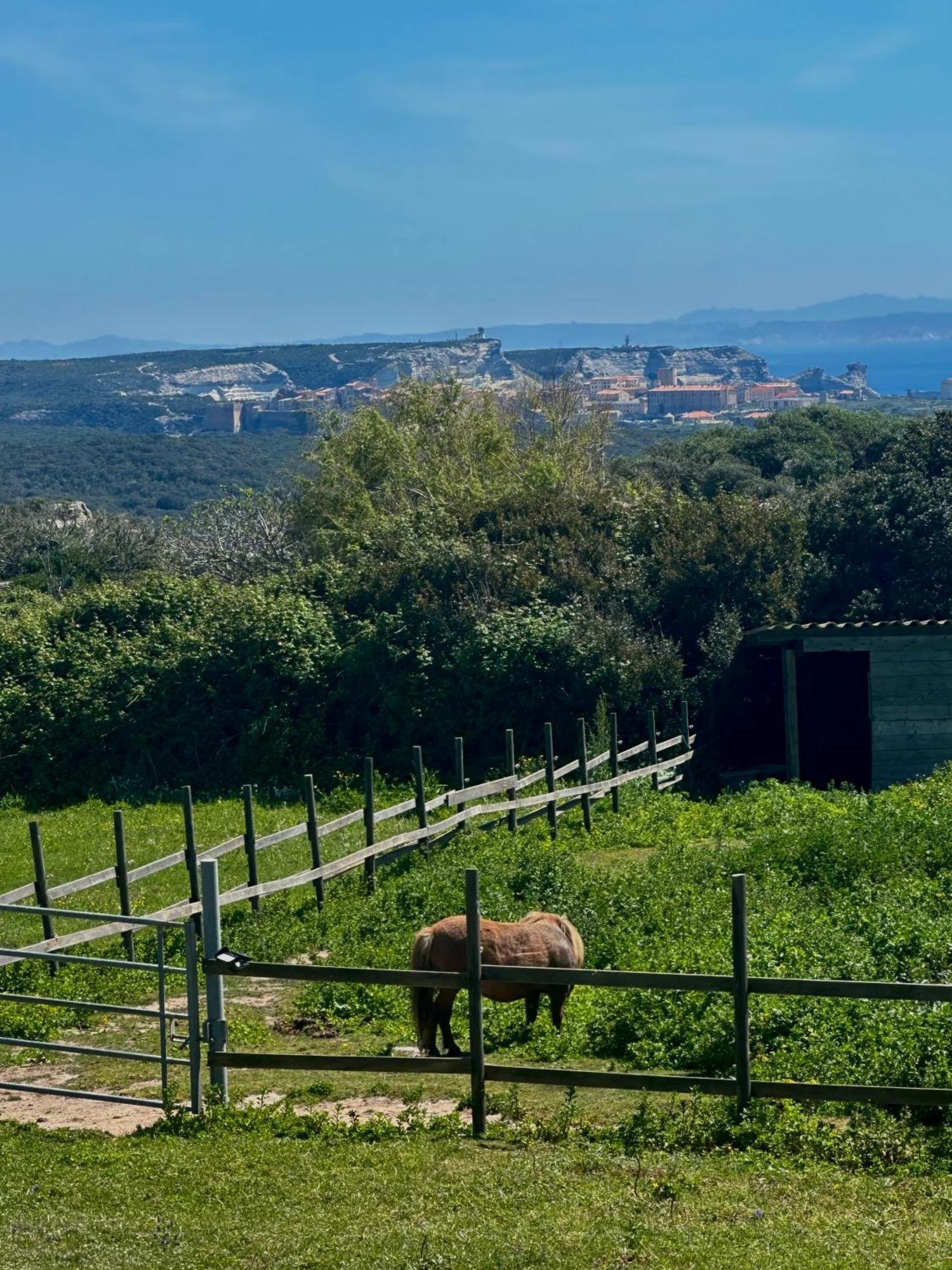 Villa A Santa Trinita Bonifacio  Esterno foto