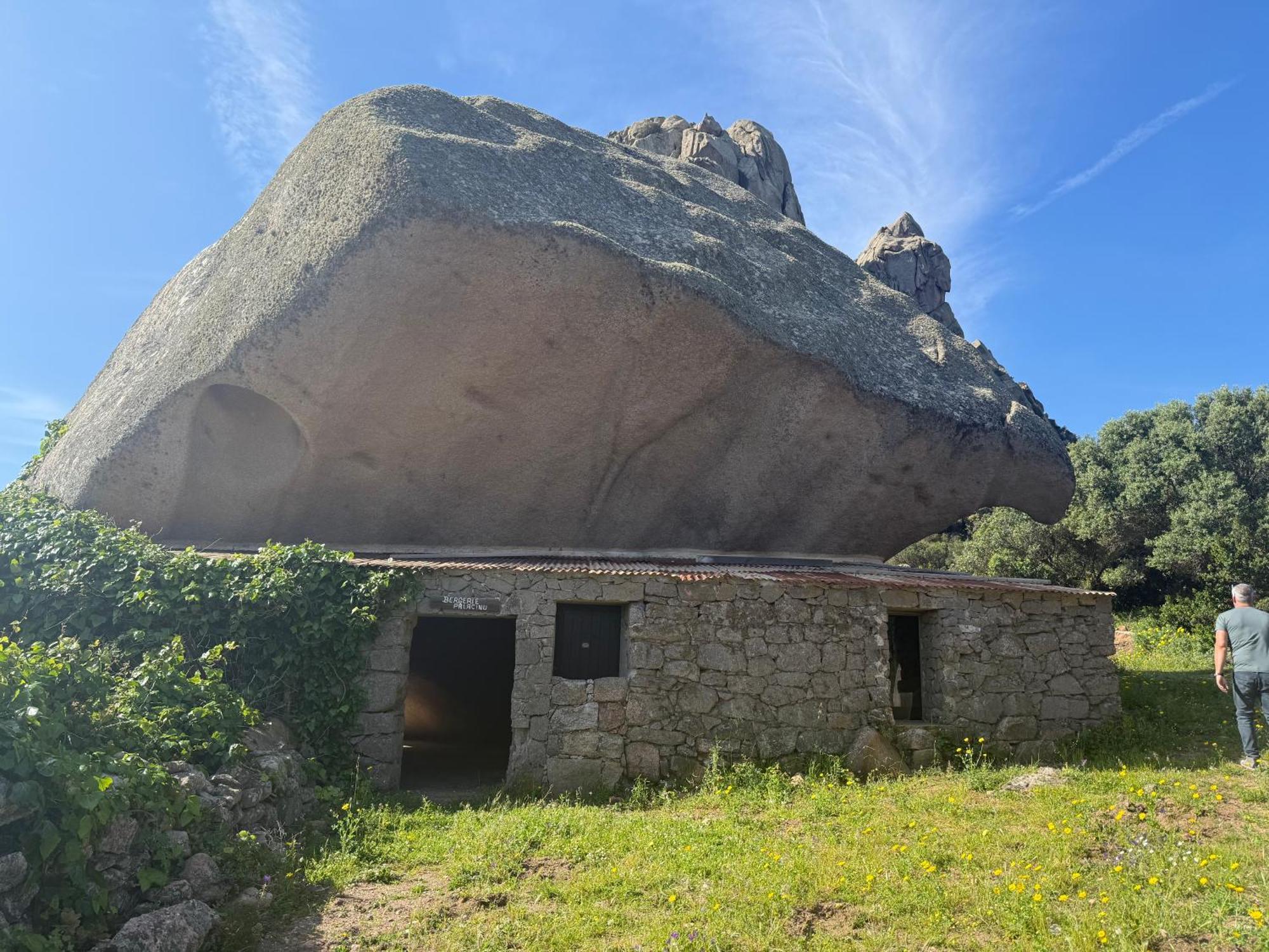 Villa A Santa Trinita Bonifacio  Esterno foto